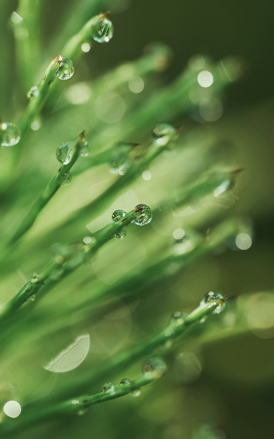 圖知道｜天安門廣場(chǎng)見(jiàn)證多個(gè)首次